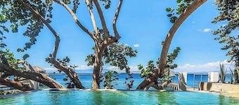 Los mejores picapollos en Palmar de Ocoa