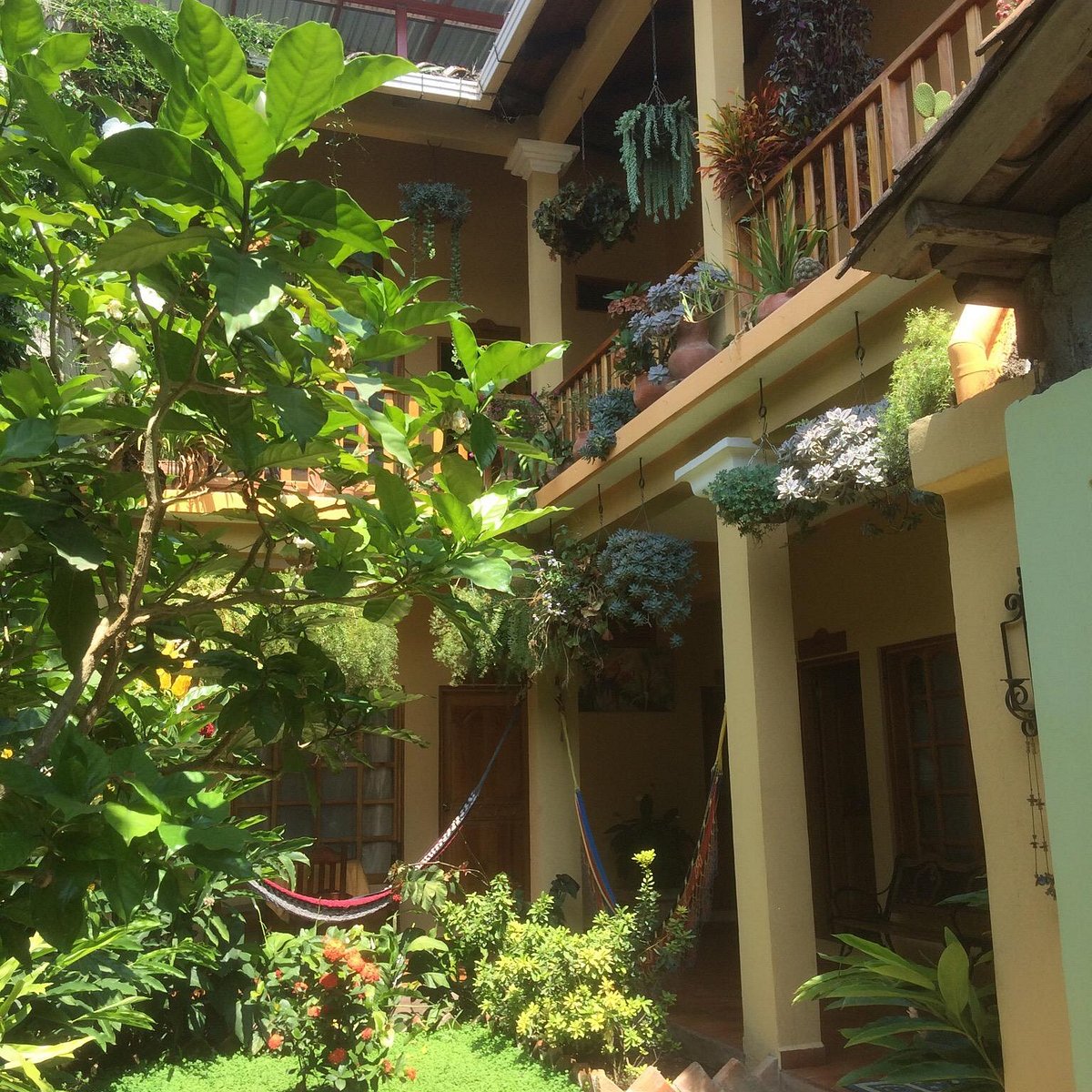 Picapollo Comedor Mary