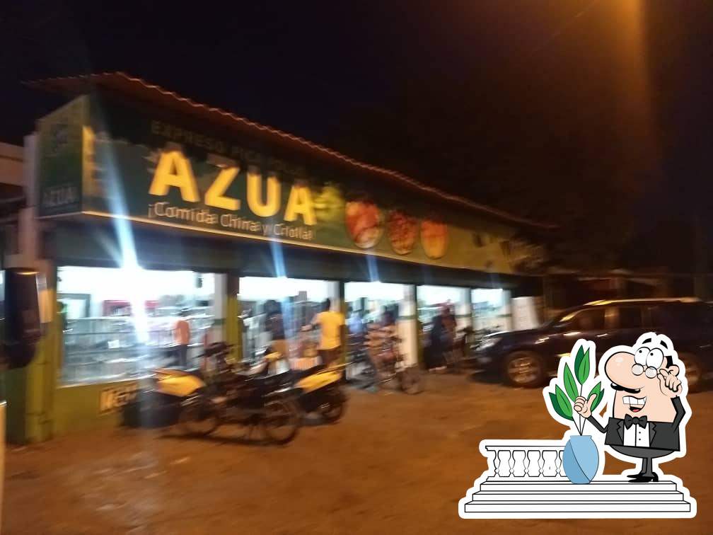 expreso pica pollo azua